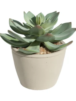 Sukkulente Thea Echeveria Kunstblume, Grün