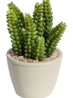 Sukkulente Thea Sedum Kunstblume, Grün
