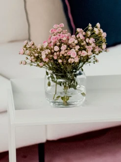 Susi Vase, Transparent