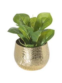 Tarana Pflanztopf, Gold