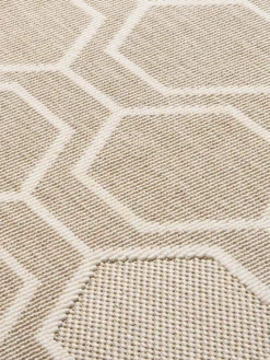 Tarent Läufer, Ivory 558