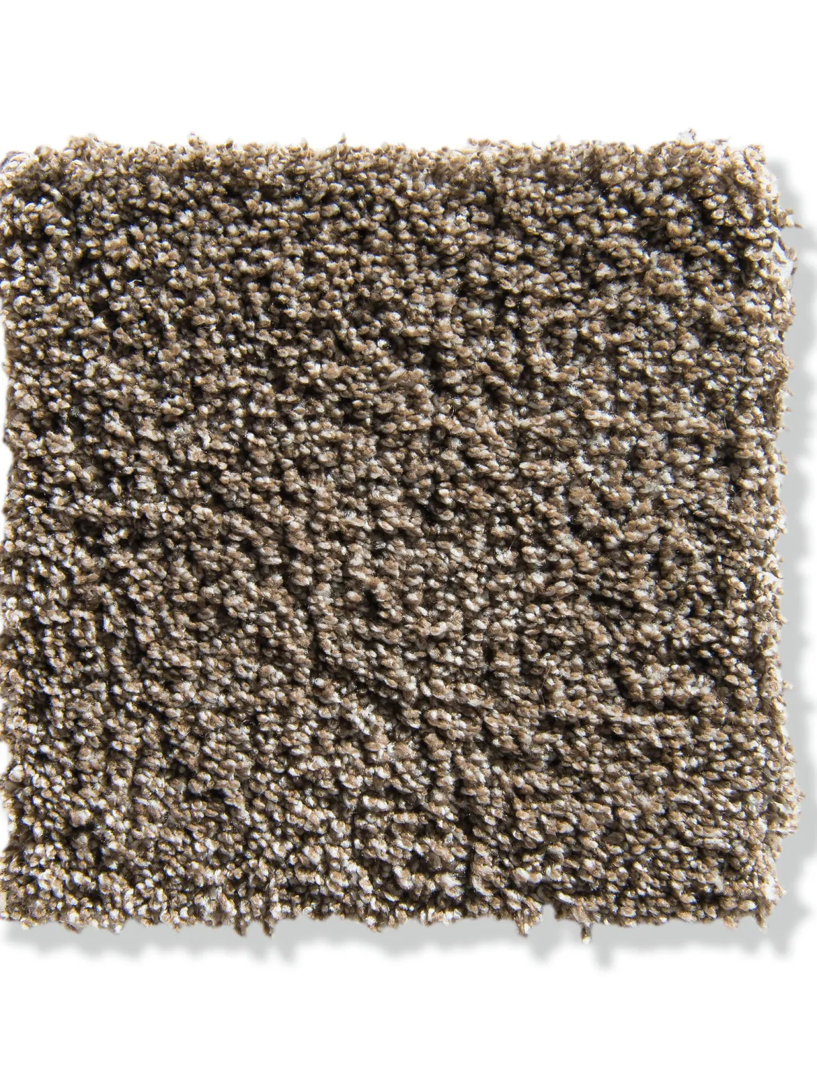 Tortosa Velours-Teppichboden, Taupe 90