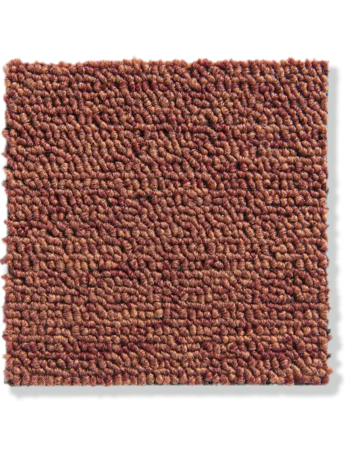 Triton Schlingen-Teppichboden, Terra 38