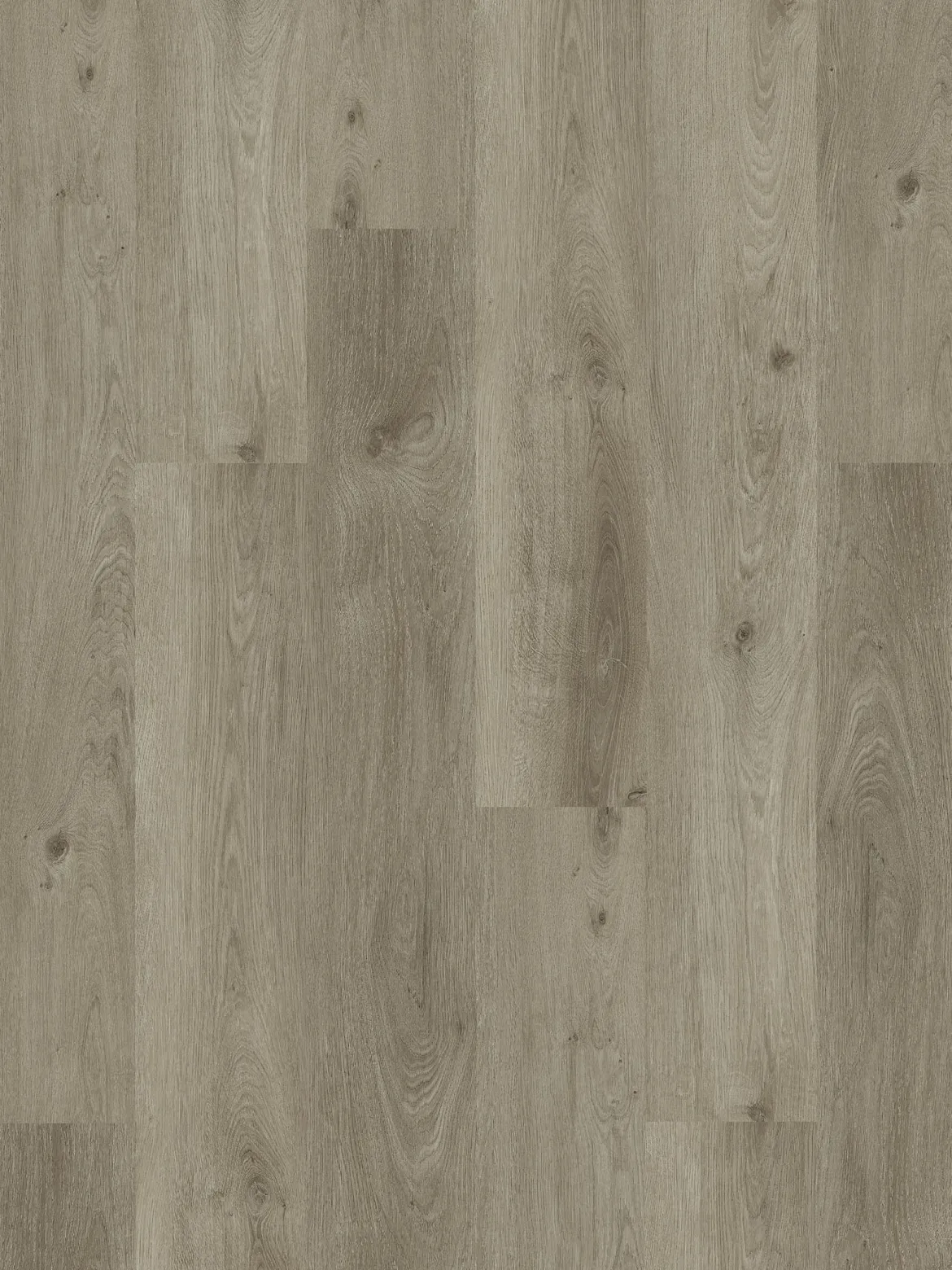 Whisper Wood Klickvinyl, Polar Oak 10552